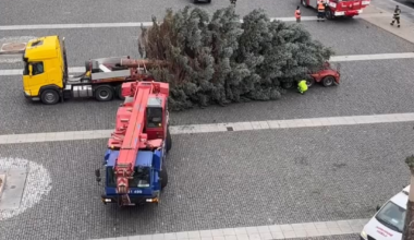 V Ústí nad Labem nechce existovat nikdo, ani vánoční strom