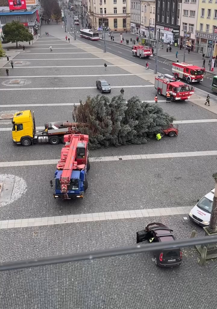 V Ústí nad Labem nechce existovat nikdo, ani vánoční strom