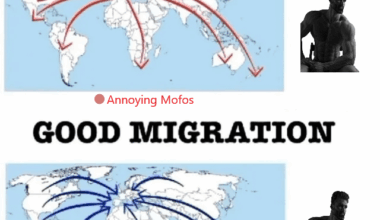 "How do Europeans really think about migration"? Here my personal opinion: