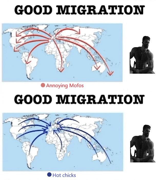 "How do Europeans really think about migration"? Here my personal opinion: