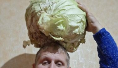 Ивайло е гигачад Цар, не знам защо не е толкова известен.