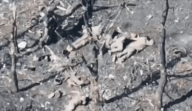 Ako po tomto môže nejaký slovák milovať rusa? Sme skazený národ.