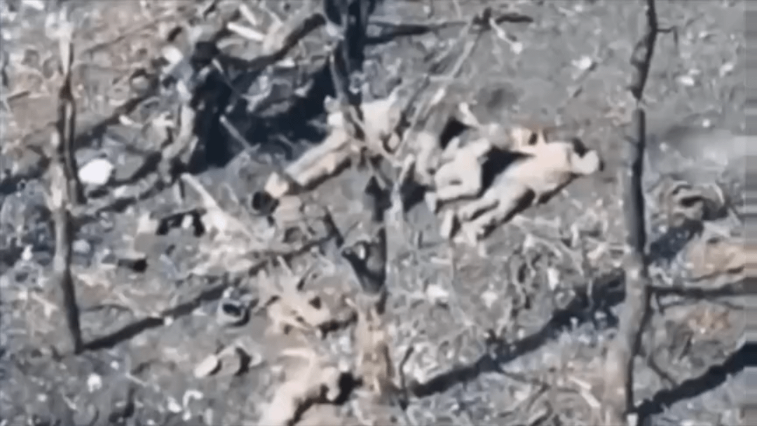 Ako po tomto môže nejaký slovák milovať rusa? Sme skazený národ.