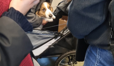 The commute was a little more bearable this morning.