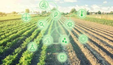 Ar Lietuva ruošiasi pasinaudoti ES reformomis?