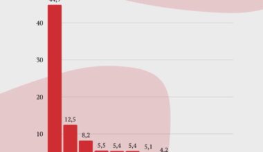 Ako by volili mladi (Aktuality)