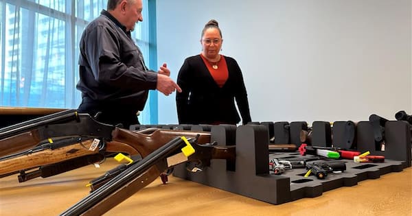 Nicole McKee reveals gun laws shake-up