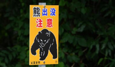 How Bad Is Japan's Bear Problem Compared To Montana?