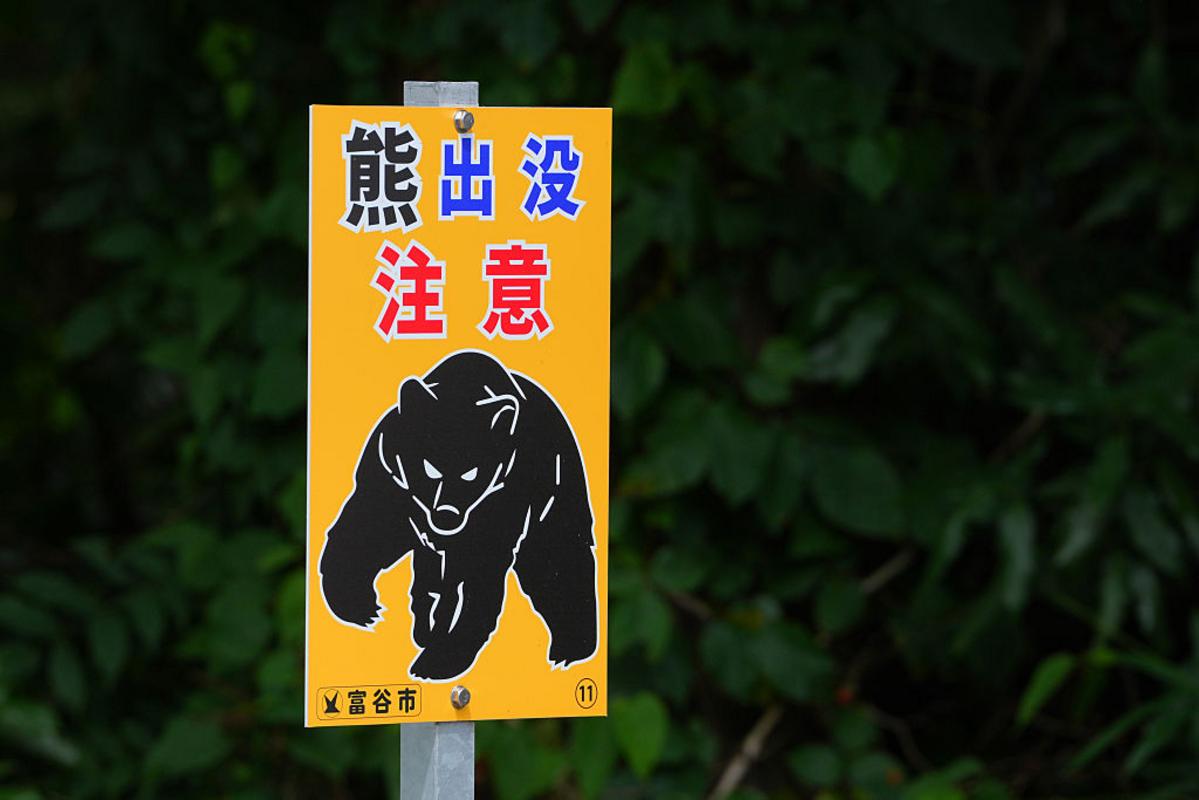 How Bad Is Japan's Bear Problem Compared To Montana?