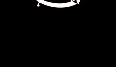 Unusual vehicle registration plate