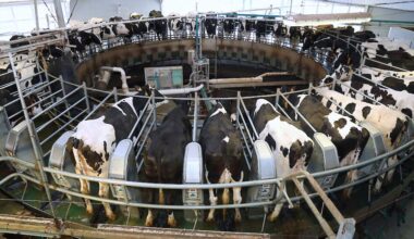 Foto van Gineke Mons