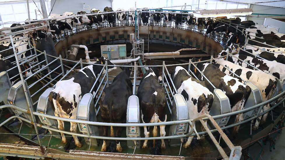 Foto van Gineke Mons