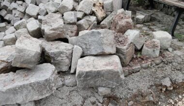 Ideen für Gehölze und Gestaltung mit Stein