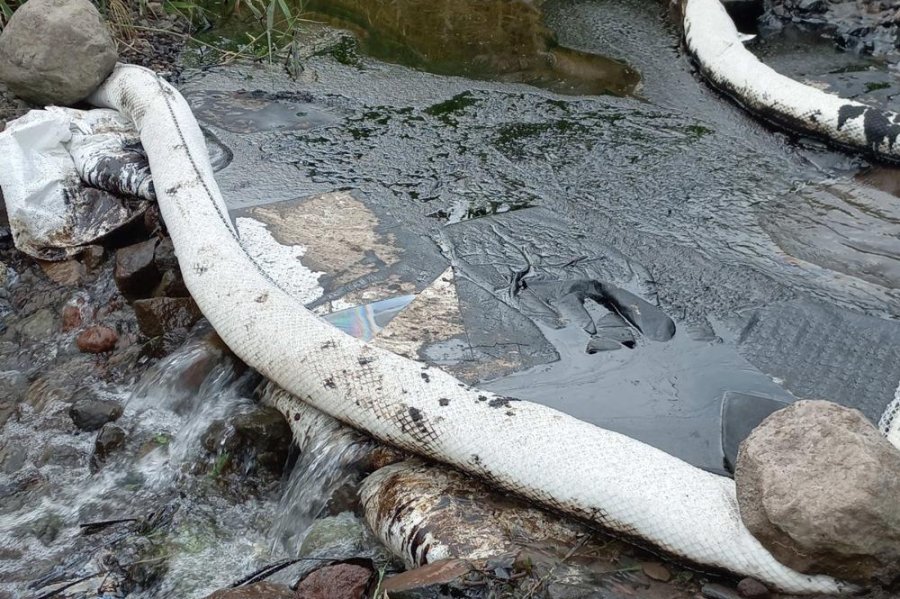 United Press International