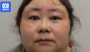 Chinese 'cryptoqueen' jailed in UK over $9bn Bitcoin laundering scheme