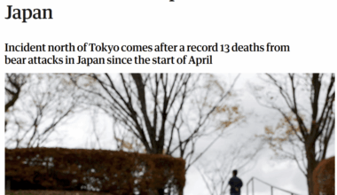 Aastaid on hoiatatud ja lõpuks see juhtus. Karu tuligi.