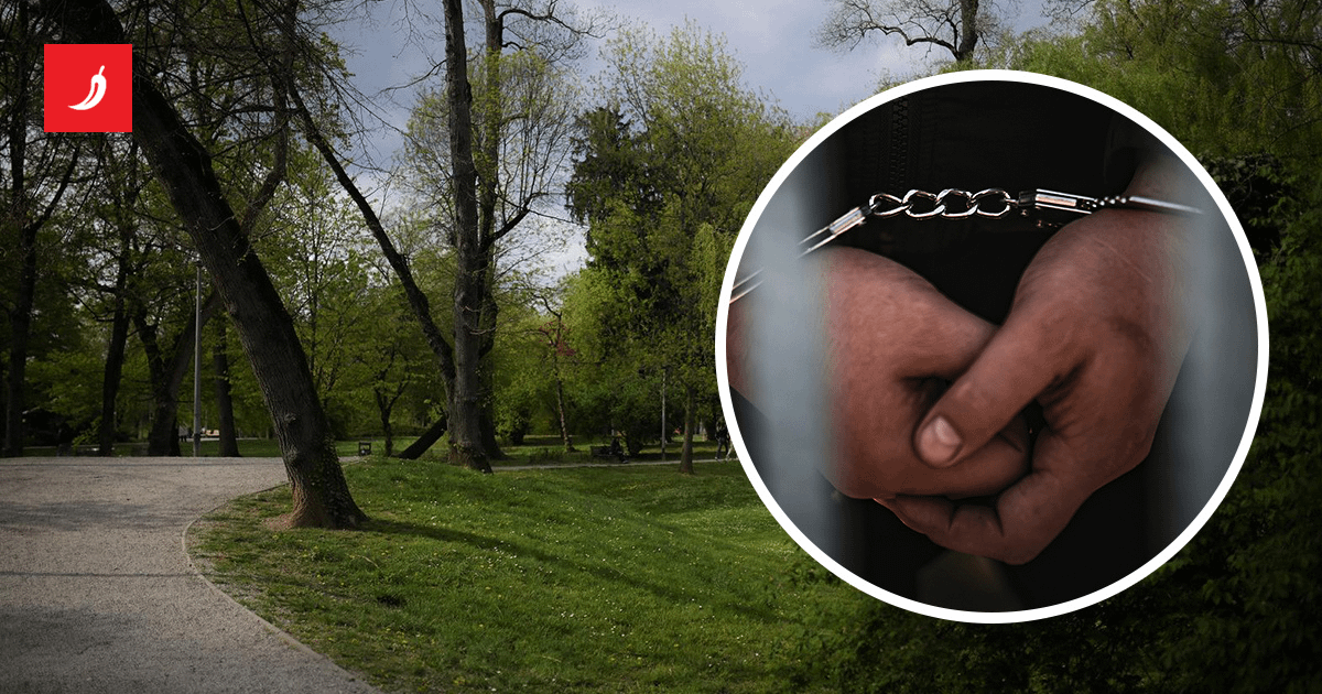 Strani radnik u središtu Zagreba silovao Japanku. Dobio je pet godina zatvora