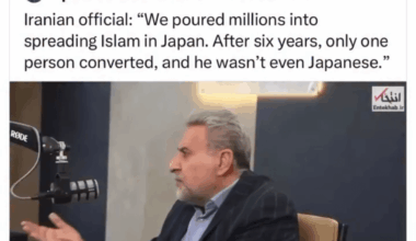 Why can't Europe be more like Japan?