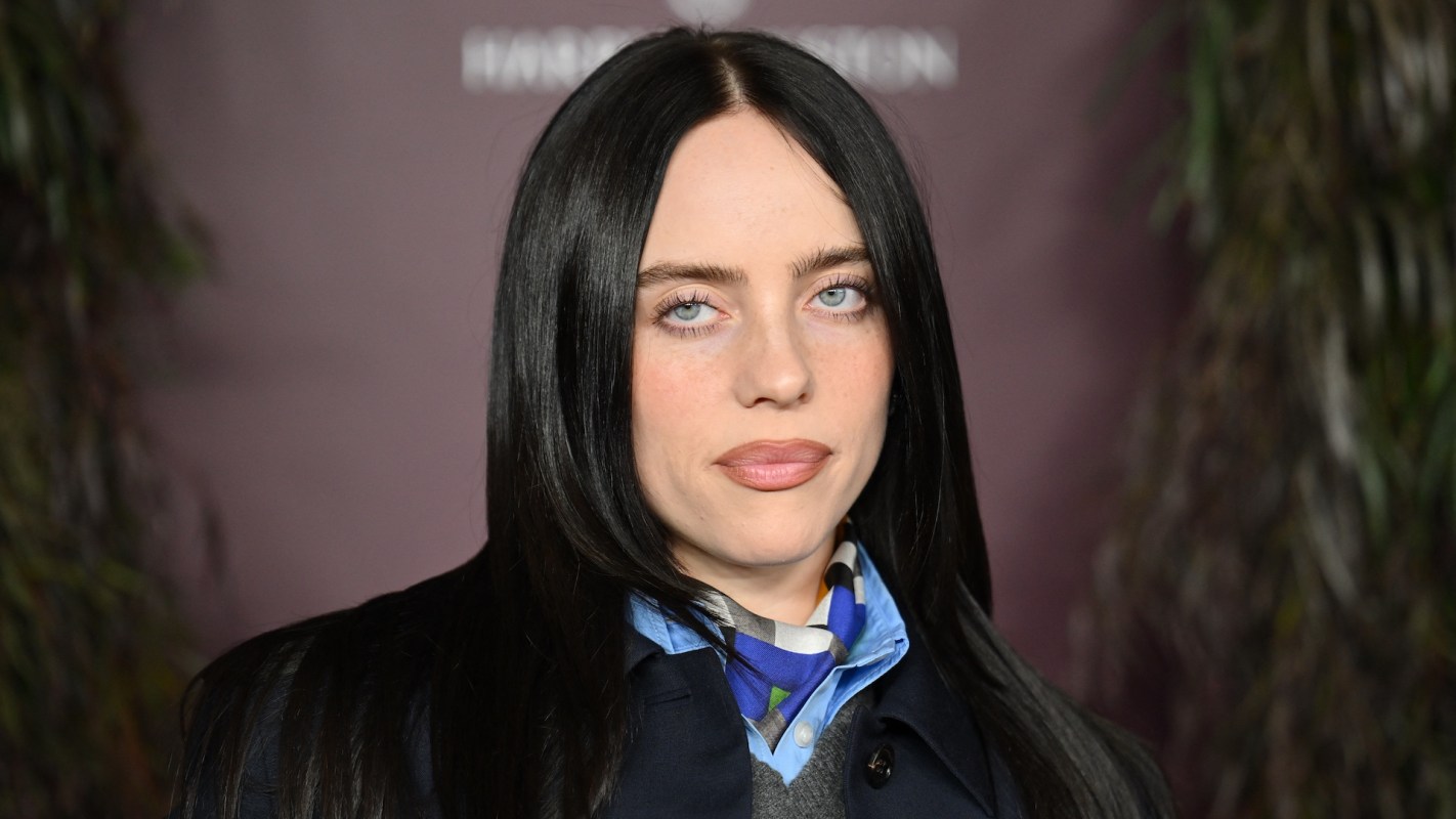 With Elon Musk on track to become the world's first trillionaire, Billie Eilish has some ideas about what he could use that money for.