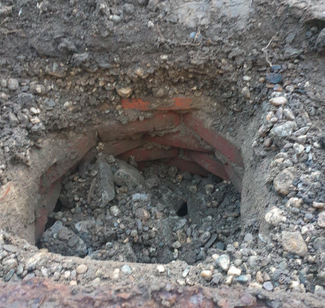 Was ist das in meinem Vorgarten?