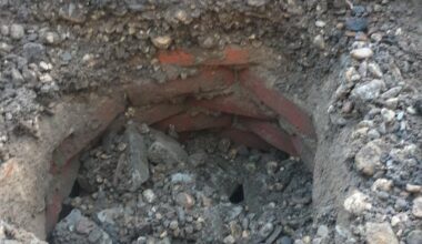 Was ist das in meinem Vorgarten?