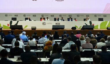 Diplomats Weigh Truce on Fossil Fuel Exit Plan at UN Climate