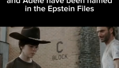 Mick, Elton, Adele, if you’re reading. PLEASE CONFIRM YOU WERE ONLY THERE FOR THE SNORKELLING