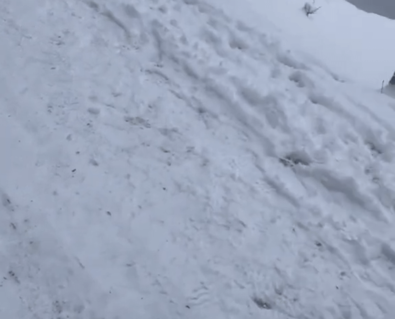 There must be a better place to have fun with your children.