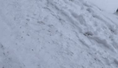 There must be a better place to have fun with your children.