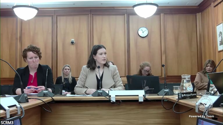 Brooke van Velden appearing before Parliament’s Education and Workforce Select Committee.