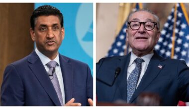 Democratic lawmaker: Schumer ‘should be replaced’