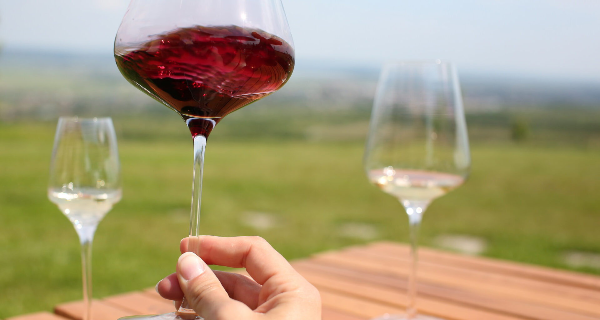 Romania records 29% rise in wine production, outpacing major EU producers