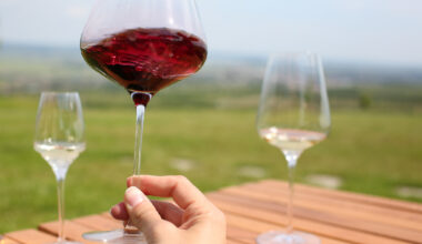 Romania records 29% rise in wine production, outpacing major EU producers