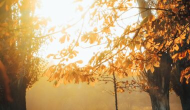 Последното топличко за тази година