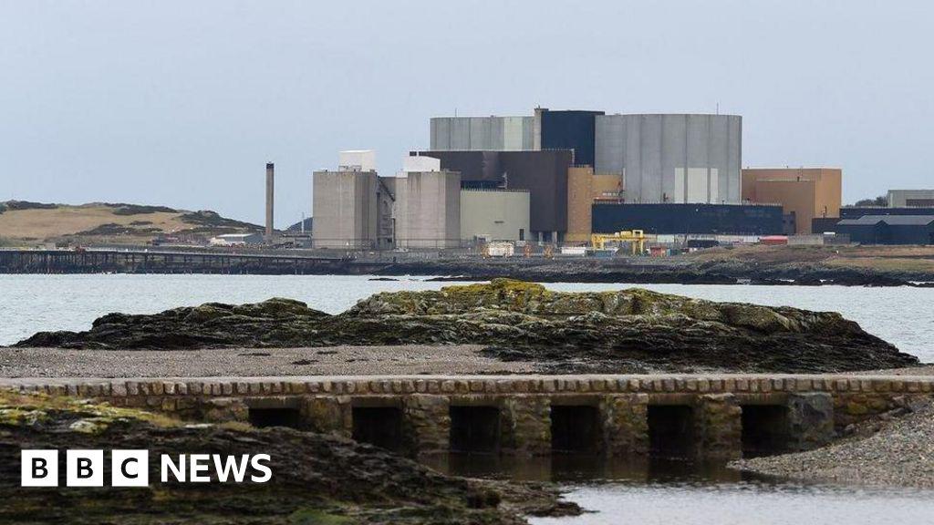 Wylfa nuclear power station plans expected to go ahead