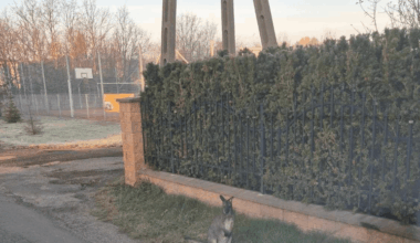 Turysta zwiedzający dziś Częstochowę