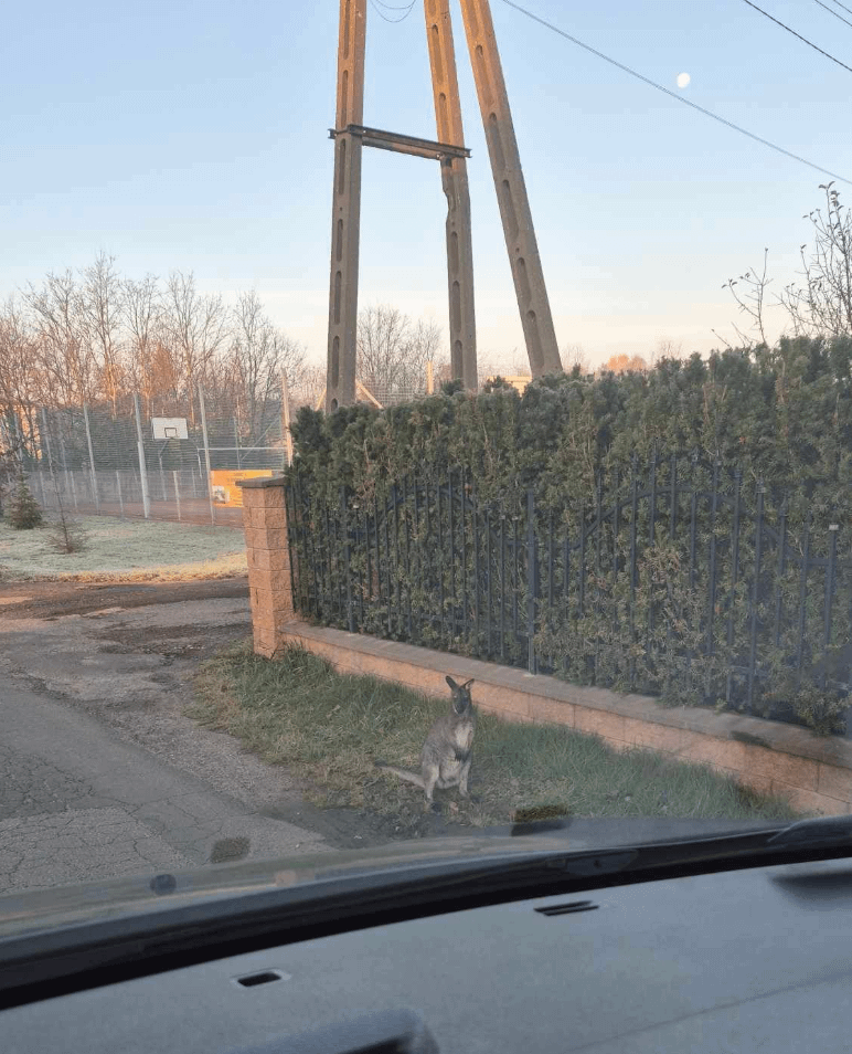 Turysta zwiedzający dziś Częstochowę