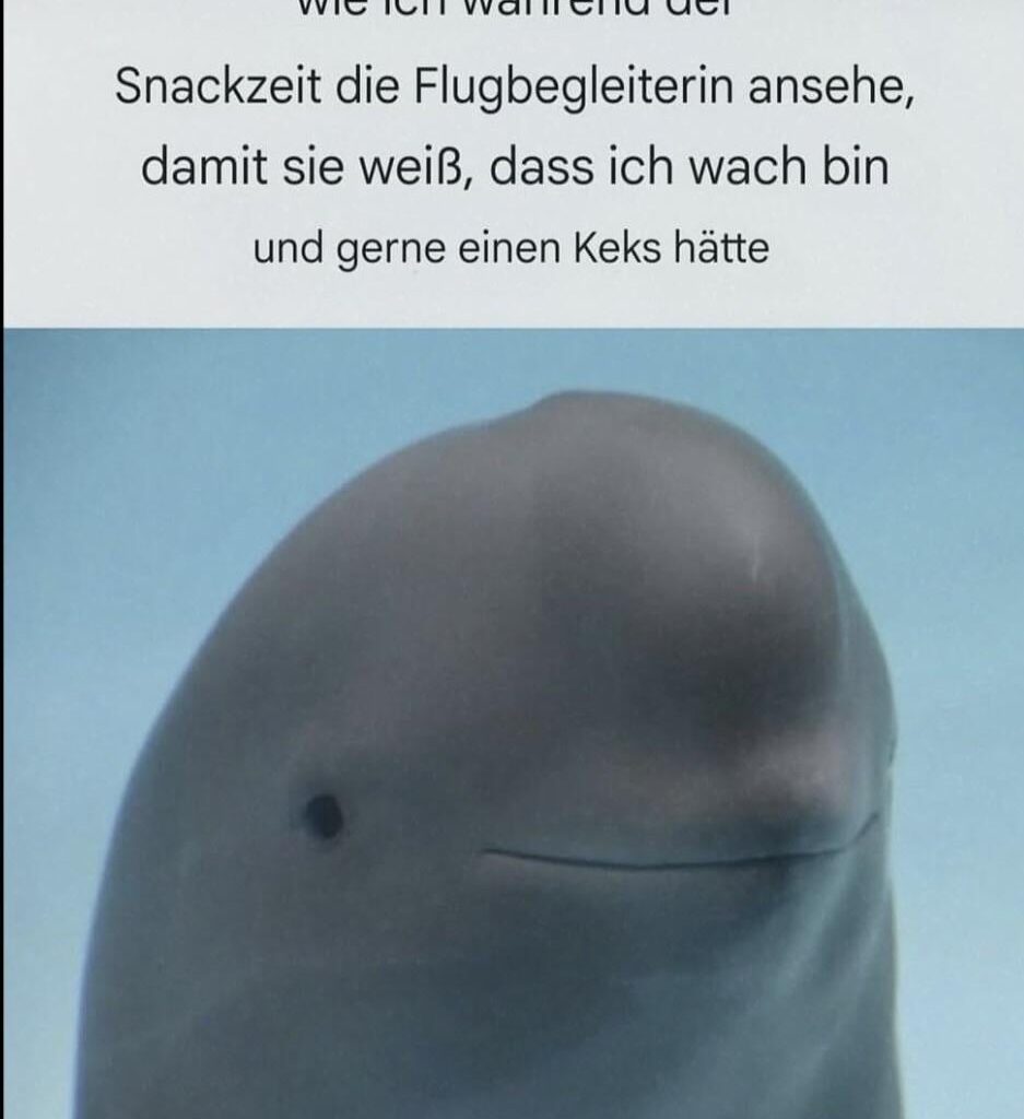 Ich_iel