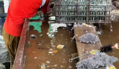 Footage of bottles being cleaned for reuse at Heineken Brewery