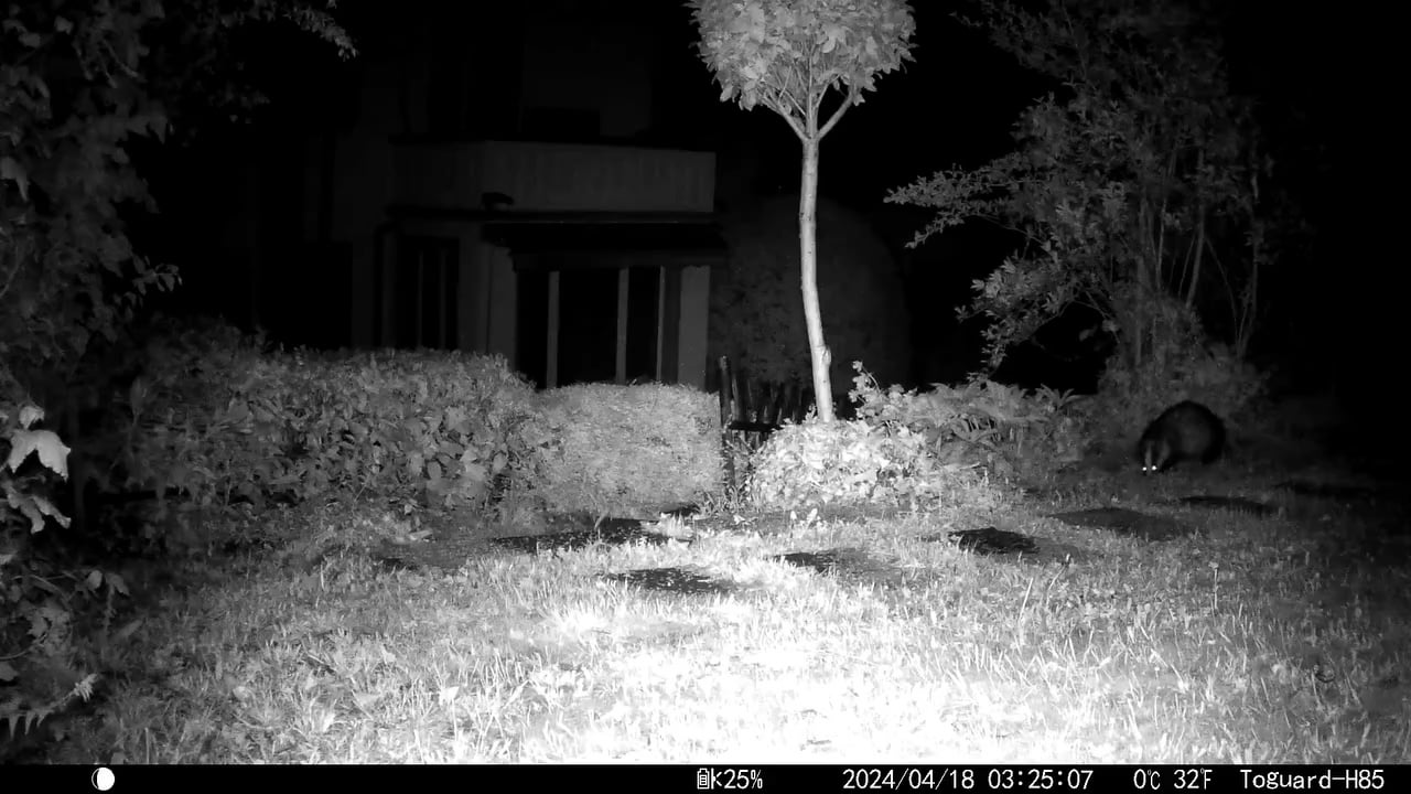 In unserem Garten ist nachts was los!