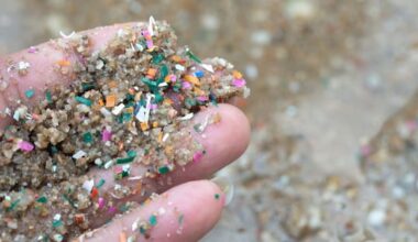 Marine researchers find biggest source of microplastics in our ocean
