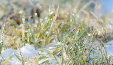 Pirmieji ženklai matomi jau dabar: Lietuvą gali užkloti storas šventinis sniego sluoksnis