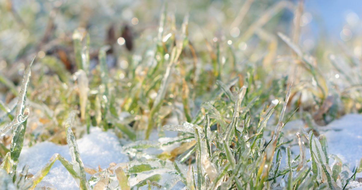 Pirmieji ženklai matomi jau dabar: Lietuvą gali užkloti storas šventinis sniego sluoksnis