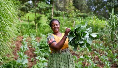 UN Women calls for a strong Gender Action Plan at COP30 to keep gender equality as a central pillar for climate action