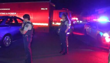 Person dead in overnight hit and run in Auckland's Henderson