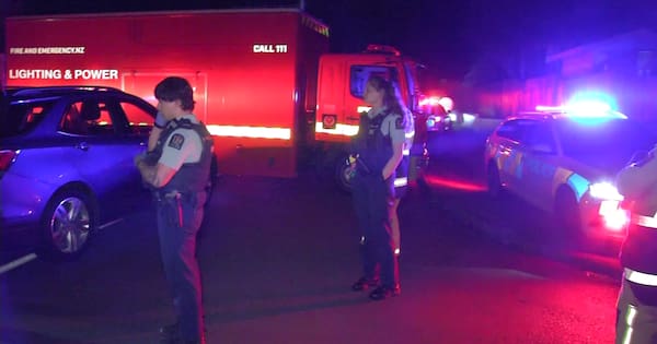 Person dead in overnight hit and run in Auckland's Henderson