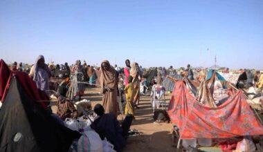 Pope: In a wartorn world, may we become builders of fraternity