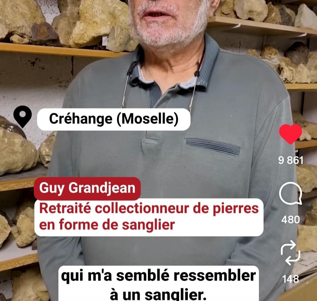 Les cailloux en forme de sanglier