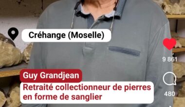 Les cailloux en forme de sanglier