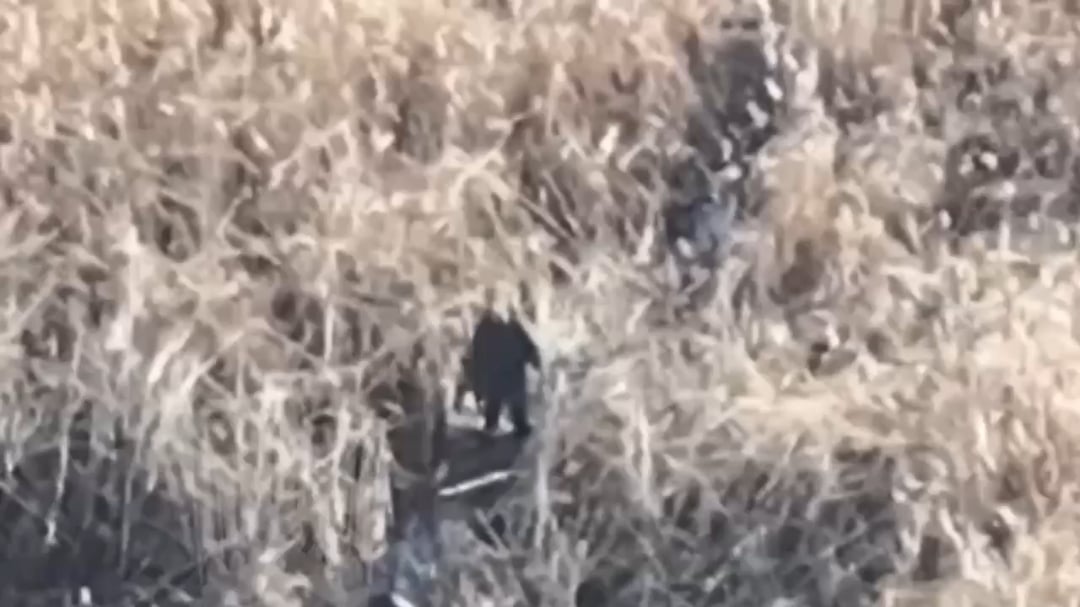 Russian soldier gets stuck in a swamp and eliminated by FPV drone of Birds of Magyar